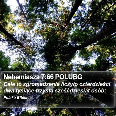 Nehemiasza 7:66 POLUBG Bible Verse Image