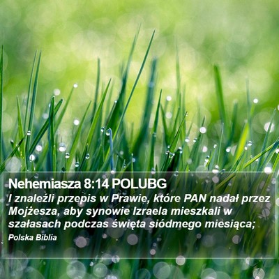 Nehemiasza 8:14 POLUBG Bible Verse Image