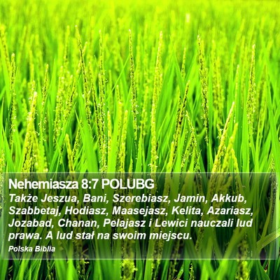 Nehemiasza 8:7 POLUBG Bible Verse Image