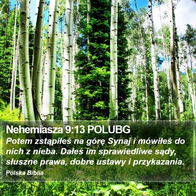 Nehemiasza 9:13 POLUBG Bible Verse Image