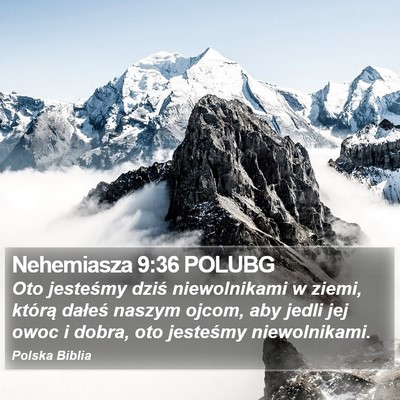 Nehemiasza 9:36 POLUBG Bible Verse Image