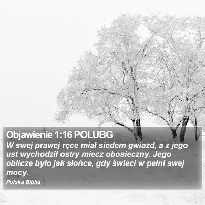 Objawienie 1:16 POLUBG Bible Verse Image