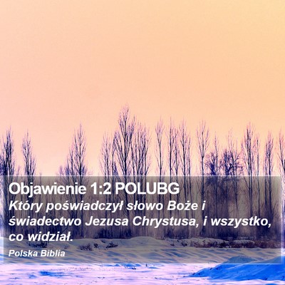 Objawienie 1:2 POLUBG Bible Verse Image