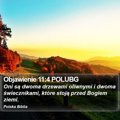 Objawienie 11:4 POLUBG Bible Verse Image