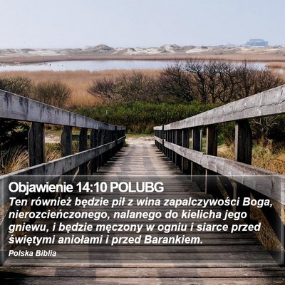 Objawienie 14:10 POLUBG Bible Verse Image