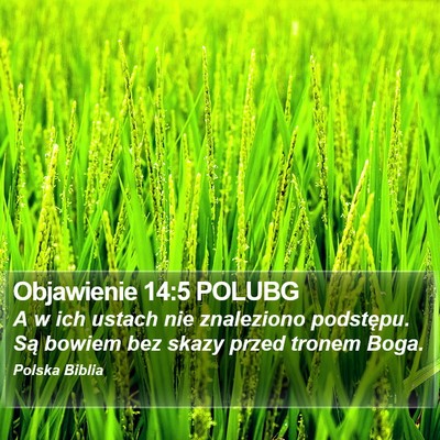 Objawienie 14:5 POLUBG Bible Verse Image
