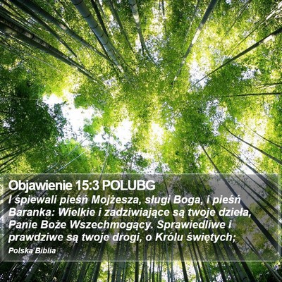 Objawienie 15:3 POLUBG Bible Verse Image