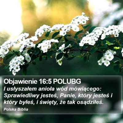 Objawienie 16:5 POLUBG Bible Verse Image
