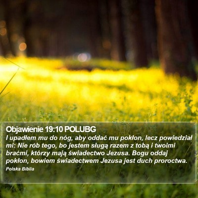 Objawienie 19:10 POLUBG Bible Verse Image