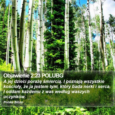 Objawienie 2:23 POLUBG Bible Verse Image