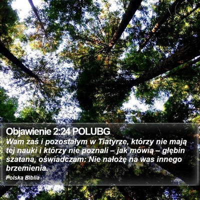 Objawienie 2:24 POLUBG Bible Verse Image