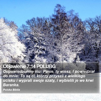 Objawienie 7:14 POLUBG Bible Verse Image