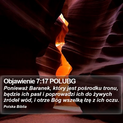 Objawienie 7:17 POLUBG Bible Verse Image