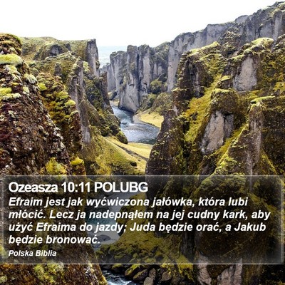 Ozeasza 10:11 POLUBG Bible Verse Image