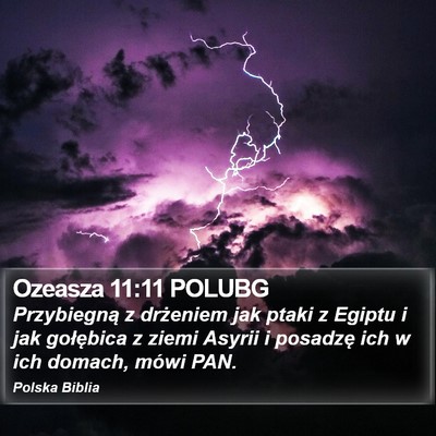 Ozeasza 11:11 POLUBG Bible Verse Image