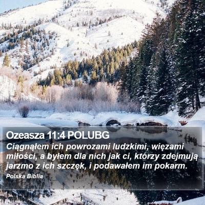 Ozeasza 11:4 POLUBG Bible Verse Image