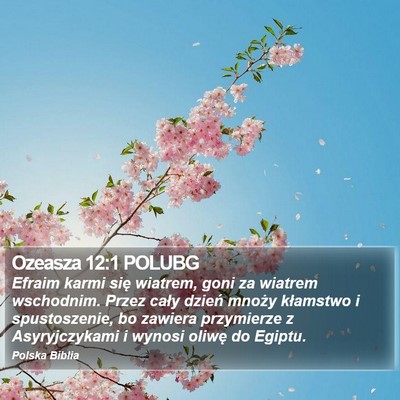 Ozeasza 12:1 POLUBG Bible Verse Image