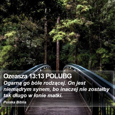 Ozeasza 13:13 POLUBG Bible Verse Image