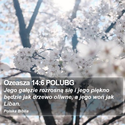 Ozeasza 14:6 POLUBG Bible Verse Image