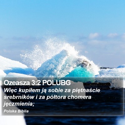 Ozeasza 3:2 POLUBG Bible Verse Image