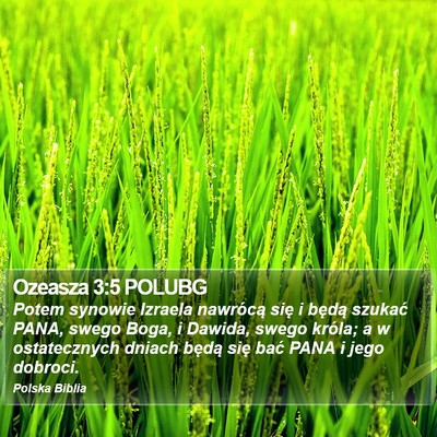 Ozeasza 3:5 POLUBG Bible Verse Image
