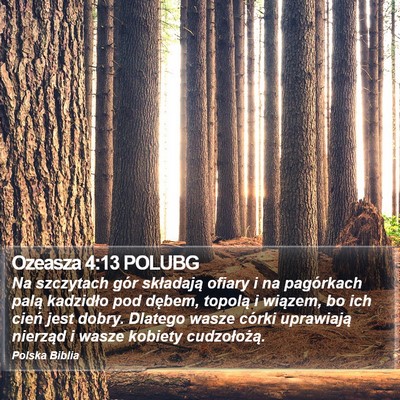 Ozeasza 4:13 POLUBG Bible Verse Image