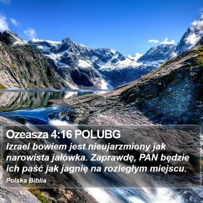 Ozeasza 4:16 POLUBG Bible Verse Image
