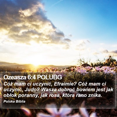 Ozeasza 6:4 POLUBG Bible Verse Image