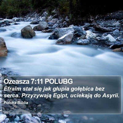 Ozeasza 7:11 POLUBG Bible Verse Image