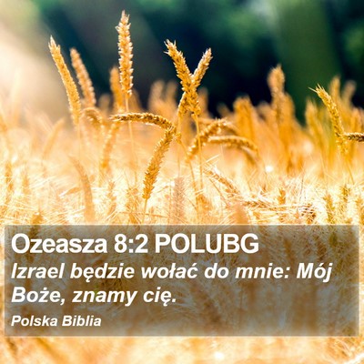 Ozeasza 8:2 POLUBG Bible Verse Image