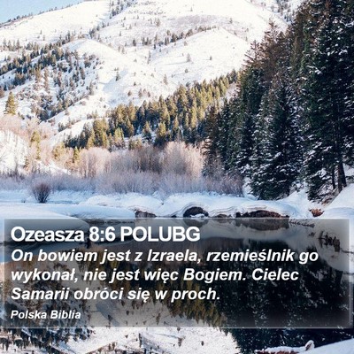 Ozeasza 8:6 POLUBG Bible Verse Image