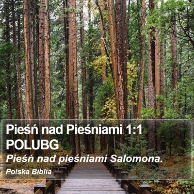 Pieśń nad Pieśniami 1:1 POLUBG Bible Verse Image