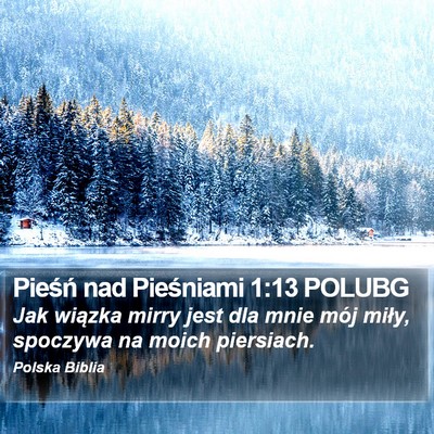 Pieśń nad Pieśniami 1:13 POLUBG Bible Verse Image