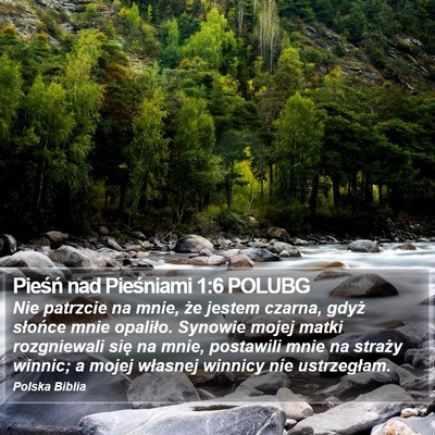 Pieśń nad Pieśniami 1:6 POLUBG Bible Verse Image