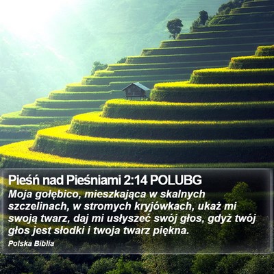Pieśń nad Pieśniami 2:14 POLUBG Bible Verse Image