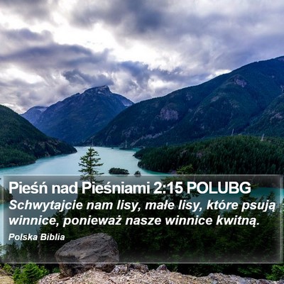 Pieśń nad Pieśniami 2:15 POLUBG Bible Verse Image