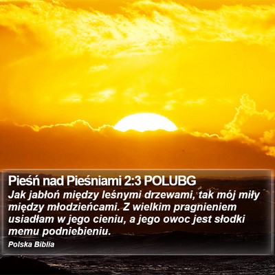 Pieśń nad Pieśniami 2:3 POLUBG Bible Verse Image