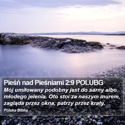 Pieśń nad Pieśniami 2:9 POLUBG Bible Verse Image