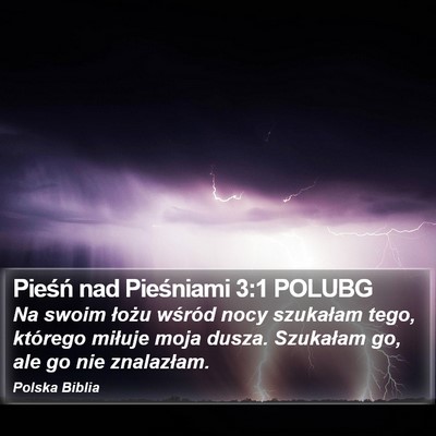 Pieśń nad Pieśniami 3:1 POLUBG Bible Verse Image