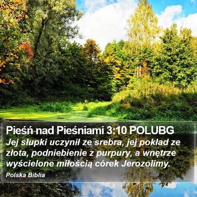Pieśń nad Pieśniami 3:10 POLUBG Bible Verse Image