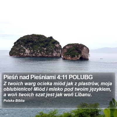 Pieśń nad Pieśniami 4:11 POLUBG Bible Verse Image