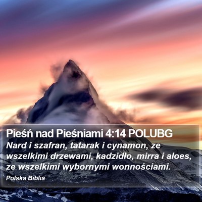Pieśń nad Pieśniami 4:14 POLUBG Bible Verse Image