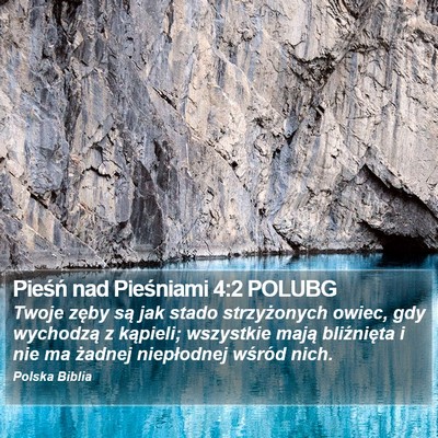 Pieśń nad Pieśniami 4:2 POLUBG Bible Verse Image