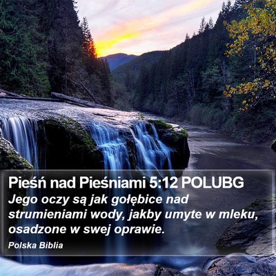 Pieśń nad Pieśniami 5:12 POLUBG Bible Verse Image