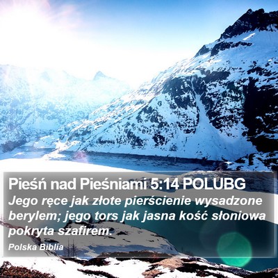 Pieśń nad Pieśniami 5:14 POLUBG Bible Verse Image