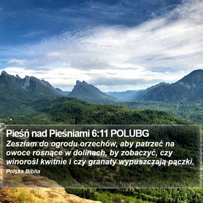 Pieśń nad Pieśniami 6:11 POLUBG Bible Verse Image