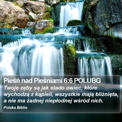 Pieśń nad Pieśniami 6:6 POLUBG Bible Verse Image