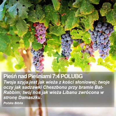 Pieśń nad Pieśniami 7:4 POLUBG Bible Verse Image