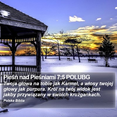 Pieśń nad Pieśniami 7:5 POLUBG Bible Verse Image