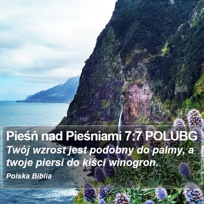 Pieśń nad Pieśniami 7:7 POLUBG Bible Verse Image